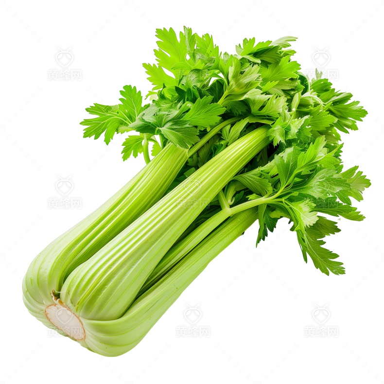 芹菜,芹菜png,绿色蔬菜,新鲜蔬菜,ai蔬菜摄影